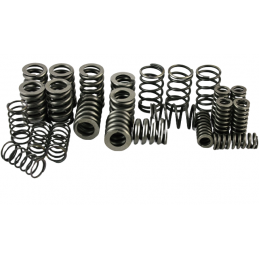 SPRĘŻYNA TŁUMIKA ZESTAW 6DCT450 MPS6 POWERSHIFT