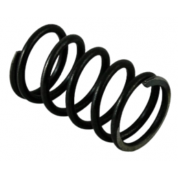 SPRĘŻYNA TŁUMIKA ZESTAW 6DCT450 MPS6 POWERSHIFT