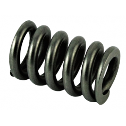 SPRĘŻYNA TŁUMIKA ZESTAW 6DCT450 MPS6 POWERSHIFT