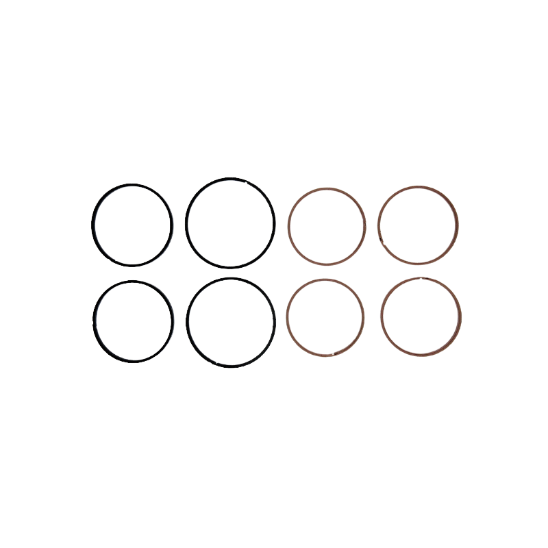 TEFLONY ZESTAW FS5A-EL FNR5 06+