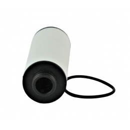 FILTR DL501 0B5 S-TRONIC 09+