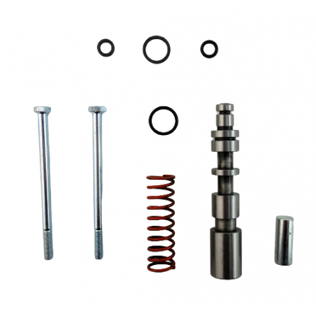 PRESSURE REGULATOR VALVE REPAIR KIT 5HP19