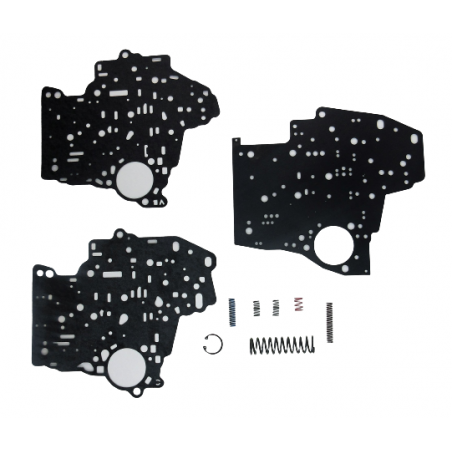 REPERATURKA STEROWNIKA 3L80 TH400