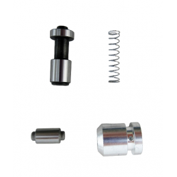 REPARATUR DES STEUERGERÄT 5R55W 5R55S 5R55N