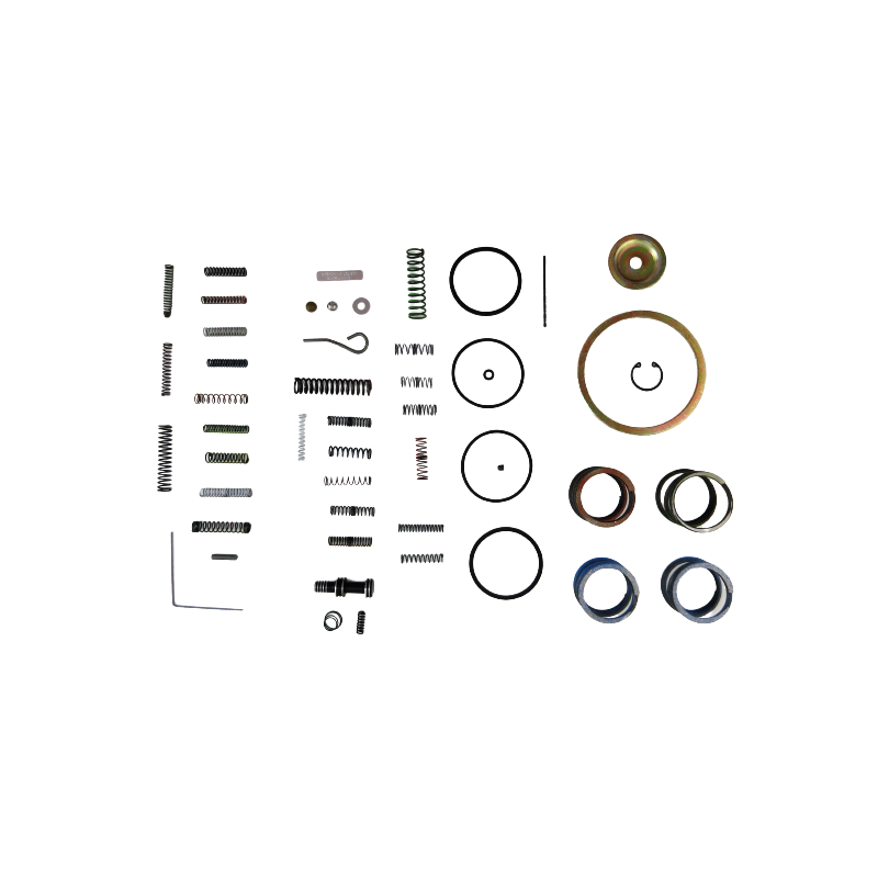 REPERATURKA STEROWNIKA 4L60E TH700R4