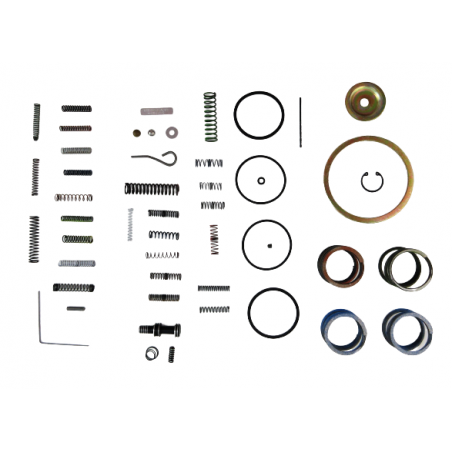 REPERATURKA STEROWNIKA 4L60E TH700R4