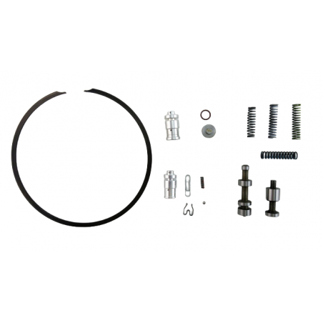 REPERATURKA STEROWNIKA 5R110W 03+