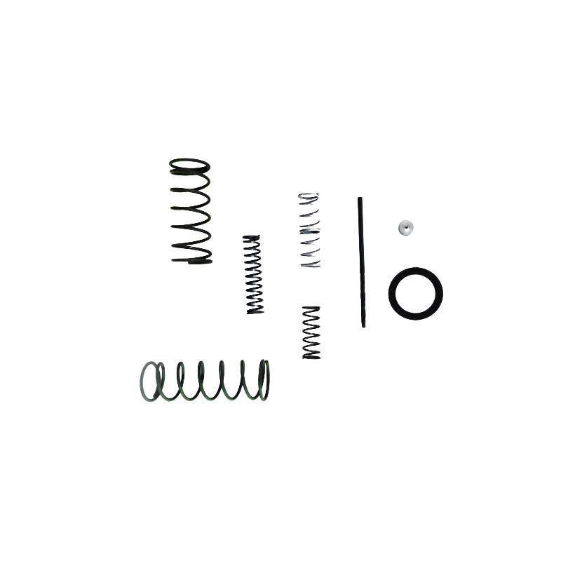 REPERATURKA STEROWNIKA C4 C5