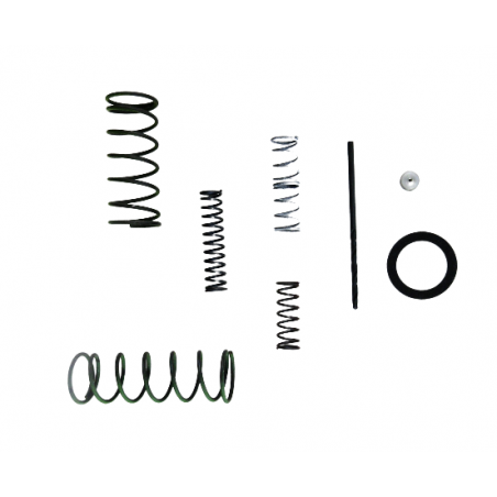 REPERATURKA STEROWNIKA C4 C5