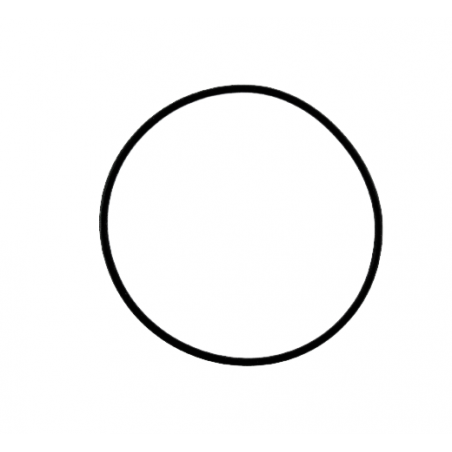 O-RING 78.89mm x 2.62mm R4AX-EL SU-19