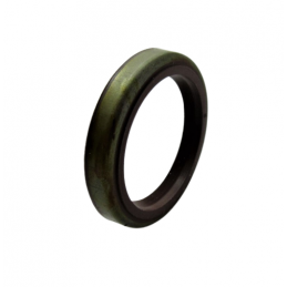 USZCZELNIACZ 24.2mm x 17.4mm 6R60 6R75W 4HP22 A999 4HP24 5HP19 5HP24 5HP30 6HP19 6HP26