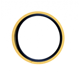 USZCZELNIACZ ZESTAW 59.99mm x 5.21mm x 2.39mm 4HP22 A999 4HP24 5HP30