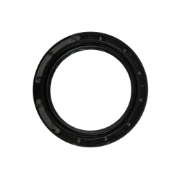 WELLENDICHTUNG 73mm x 54mm x 8mm DQ250 02E B1BASLDRW