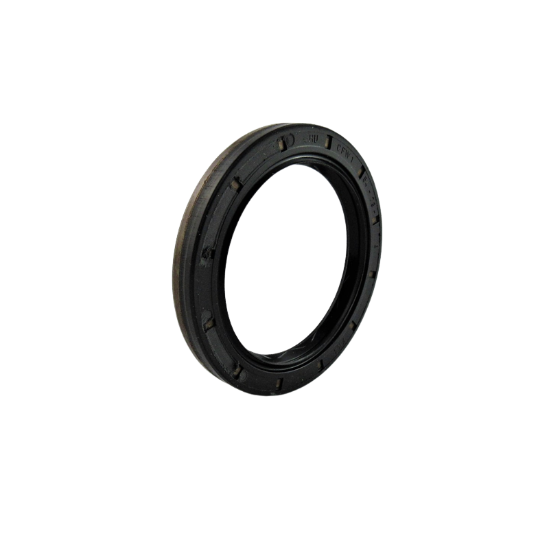 WELLENDICHTUNG 73mm x 54mm x 8mm DQ250 02E B1BASLDRW