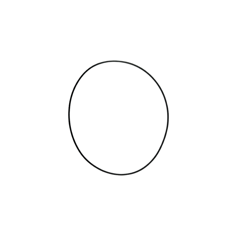 USZCZELNIACZ TŁOKA KONWERTERA 205.64mm x 3.56mm x 2.16mm 6R140