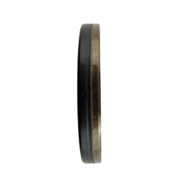 USZCZELNIACZ 62mm x 42mm x 8mm B1BASLRS