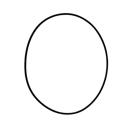 USZCZELNIACZ 311.15mm x 3.17mm x 3.17mm 5R55N 5R55S 5R55W