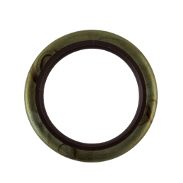 USZCZELNIACZ 30mm x 22.12mm 6R80