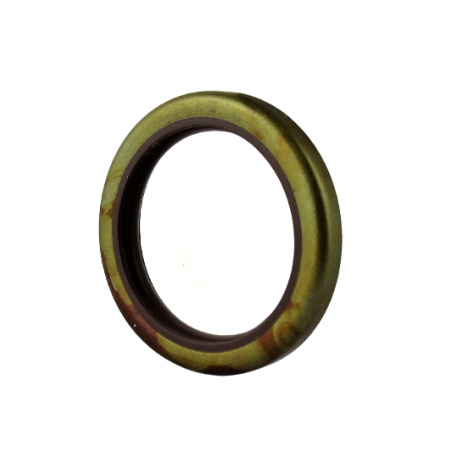 USZCZELNIACZ 30mm x 22.12mm 6R80