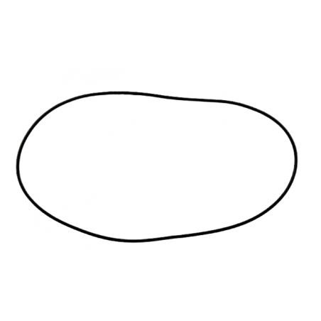 USZCZELNIACZ 201.88mm x 3.12mm TR-60SN 09D