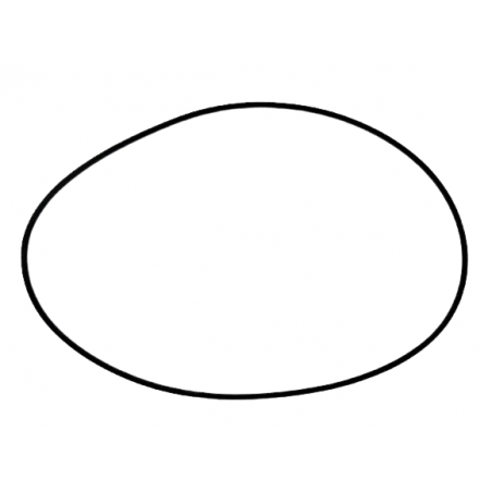 USZCZELNIACZ 178.31mm x 2.74mm x 1.93mm 722.9