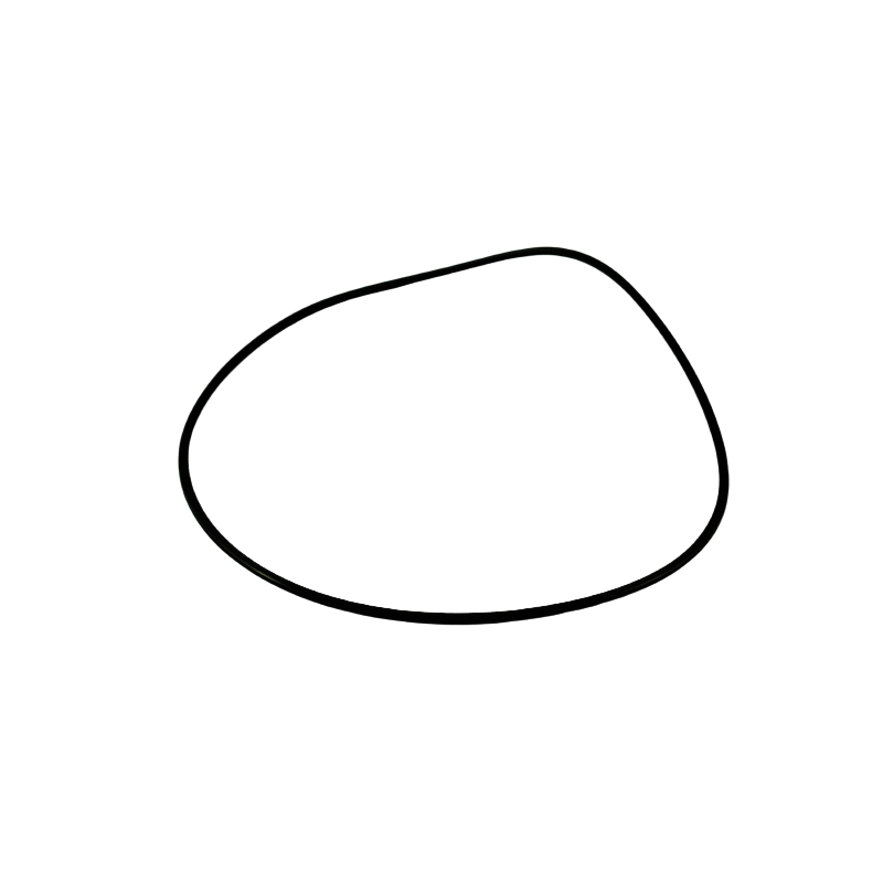 SEAL 171.4mm x 2.95mm x 2.11mm 722.6 722.9