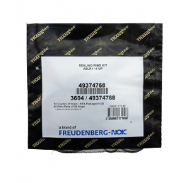 OHK ZESTAW USZCZELNIEŃ BEZ TŁOKÓW A8LR1