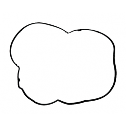 USZCZELKA MISKI 6DCT450 MPS6 POWERSHIFT 07+ GUMA