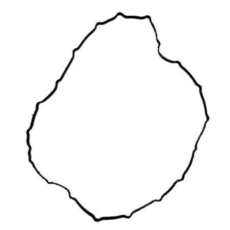 USZCZELKA STEROWNIKA A6MF1 A6MF2 A6MF3 09+ GUMA