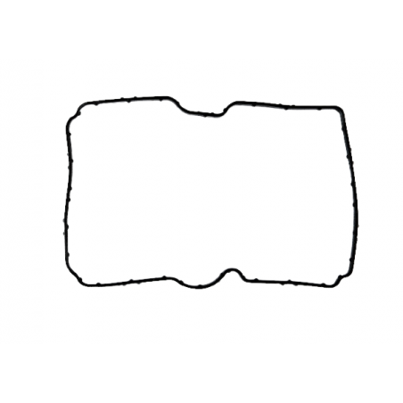 USZCZELKA STEROWNIKA DQ200 0AM DSG7 07+ GUMA