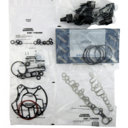 OHK ZESTAW USZCZELNIEŃ Z TŁOKAMI WIDEŁEK 6DCT450 MPS6 POWERSHIFT 07+