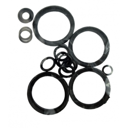 OHK ZESTAW USZCZELNIEŃ Z TŁOKAMI WIDEŁEK 6DCT450 MPS6 POWERSHIFT 09+