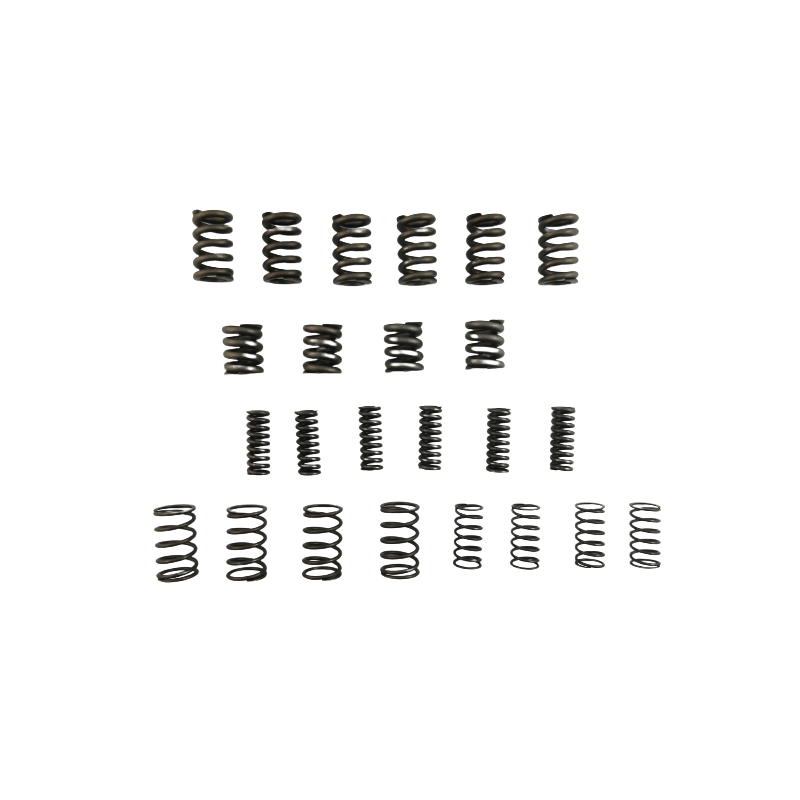SPRĘŻYNA TŁUMIKA ZESTAW 6DCT450 MPS6 POWERSHIFT 07+