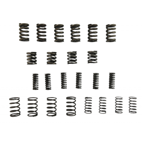 SPRĘŻYNA TŁUMIKA ZESTAW 6DCT450 MPS6 POWERSHIFT 07+
