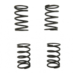 SPRĘŻYNA TŁUMIKA ZESTAW 6DCT450 MPS6 POWERSHIFT 07+