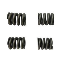 SPRĘŻYNA TŁUMIKA ZESTAW 6DCT450 MPS6 POWERSHIFT 07+