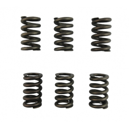 SPRĘŻYNA TŁUMIKA ZESTAW 6DCT450 MPS6 POWERSHIFT 07+