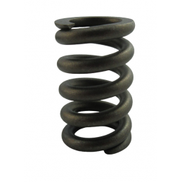 SPRĘŻYNA TŁUMIKA ZESTAW 6DCT450 MPS6 POWERSHIFT 07+