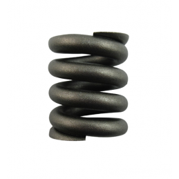 SPRĘŻYNA TŁUMIKA ZESTAW 6DCT450 MPS6 POWERSHIFT 07+