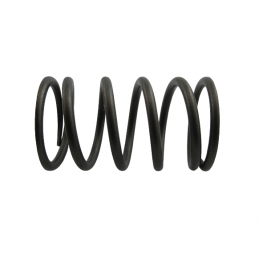 SPRĘŻYNA TŁUMIKA ZESTAW 6DCT450 MPS6 POWERSHIFT 07+