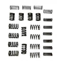 SPRĘŻYNA TŁUMIKA ZESTAW 6DCT450 MPS6 POWERSHIFT