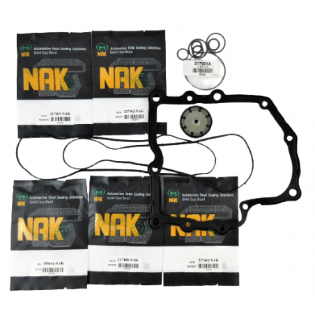 OHK SEAL KIT WITHOUT PISTONS DQ200 0AM 10+