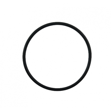 O-RING TŁOKA KONWERTERA 59.6mm x 2.7mm 9HP48 948TE
