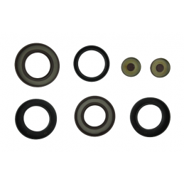 OHK ZESTAW USZCZELNIEŃ Z TŁOKAMI 9HP48