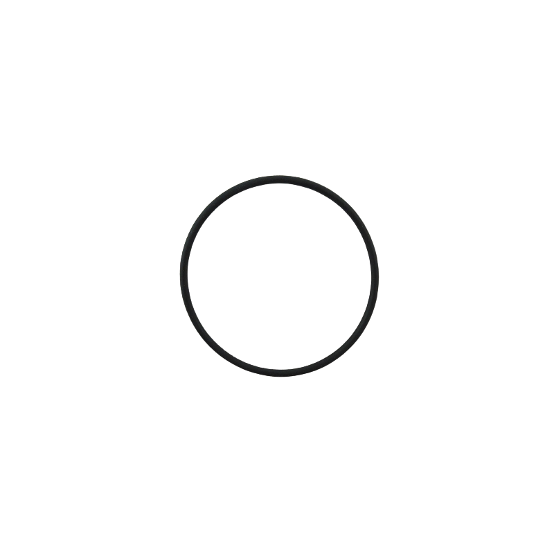 O-RING 46.2mm x 1.9mm 4L80E MT1