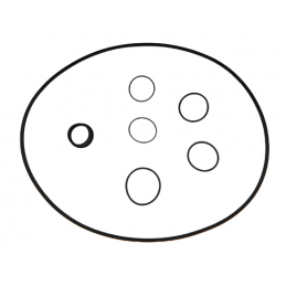 OHK ZESTAW USZCZELNIEŃ Z TŁOKAMI 10R80 16+