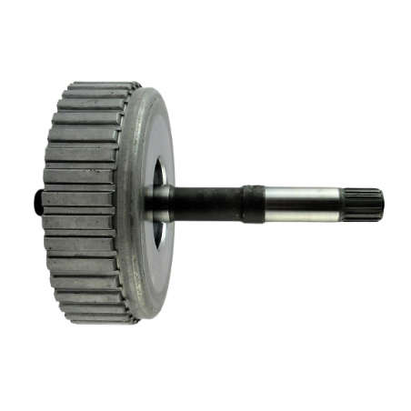 WAŁ WEJŚCIOWY K310