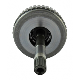 WAŁ WEJŚCIOWY K310