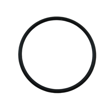 O-RING 52.1mm x 2.74mm A618 47RH 47RE 48RE