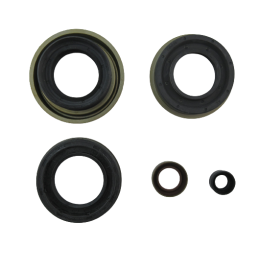 OHK DICHTUNGSSATZ OHNE KOLBEN 6T30E 6T40E 6T45E GENERATION I 08+